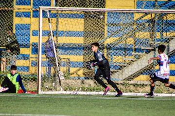 VICENTE  REYES 