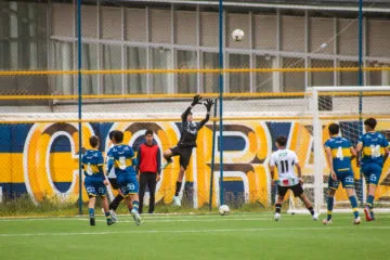 VICENTE  REYES 