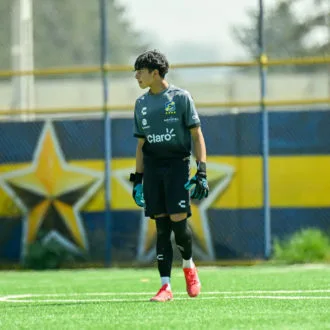 VICENTE  REYES 