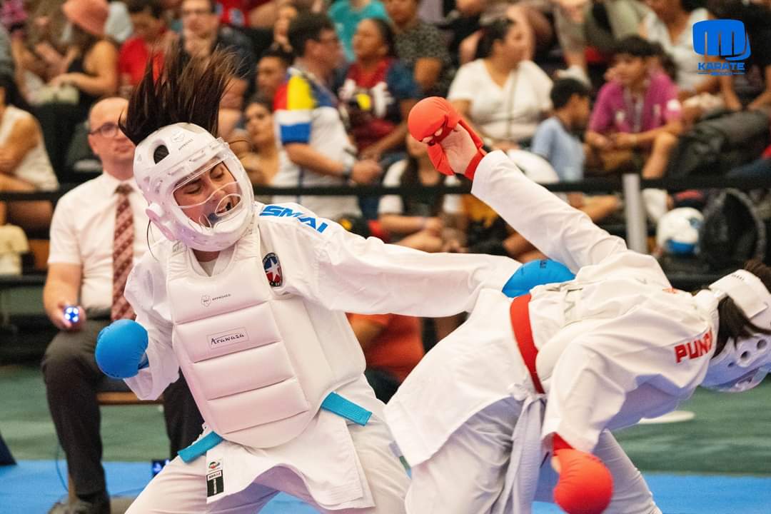 Emilia Aros Rebolledo