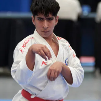 Fernando Andrés  Toledo Aguilar