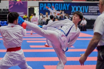 Vicente Lautaro Carreño Olavarría