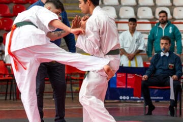 Carlos Pizarro Ramírez