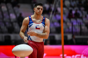 Luciano Mauricio Letelier Zuñiga