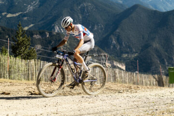 Sebastian Gesche