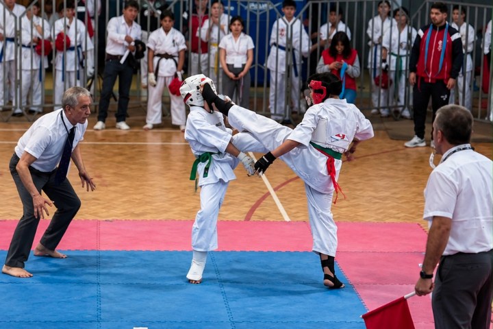 Carlos Soto Nogué